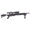 Benjamin Armada .22cal PCP Powered Pellet Air Rifle with 4-16x50mm Scope