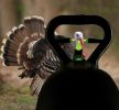 HIVIZ TriViz Fiber Optic Turkey Sight